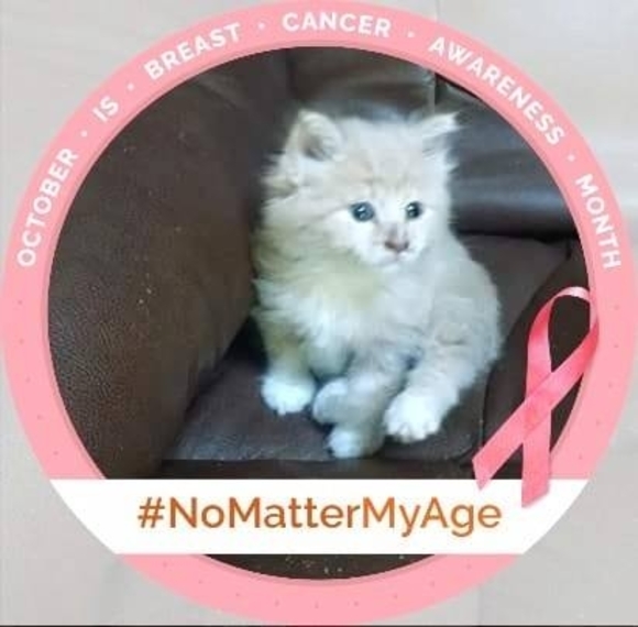 Meet your Posher, Michele - Picture 1 of 1